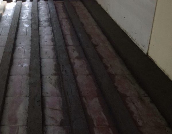 Chuẩn Bị Con Lươn Nền Kho đông Lạnh